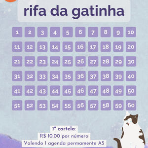 Rifa da gatinha